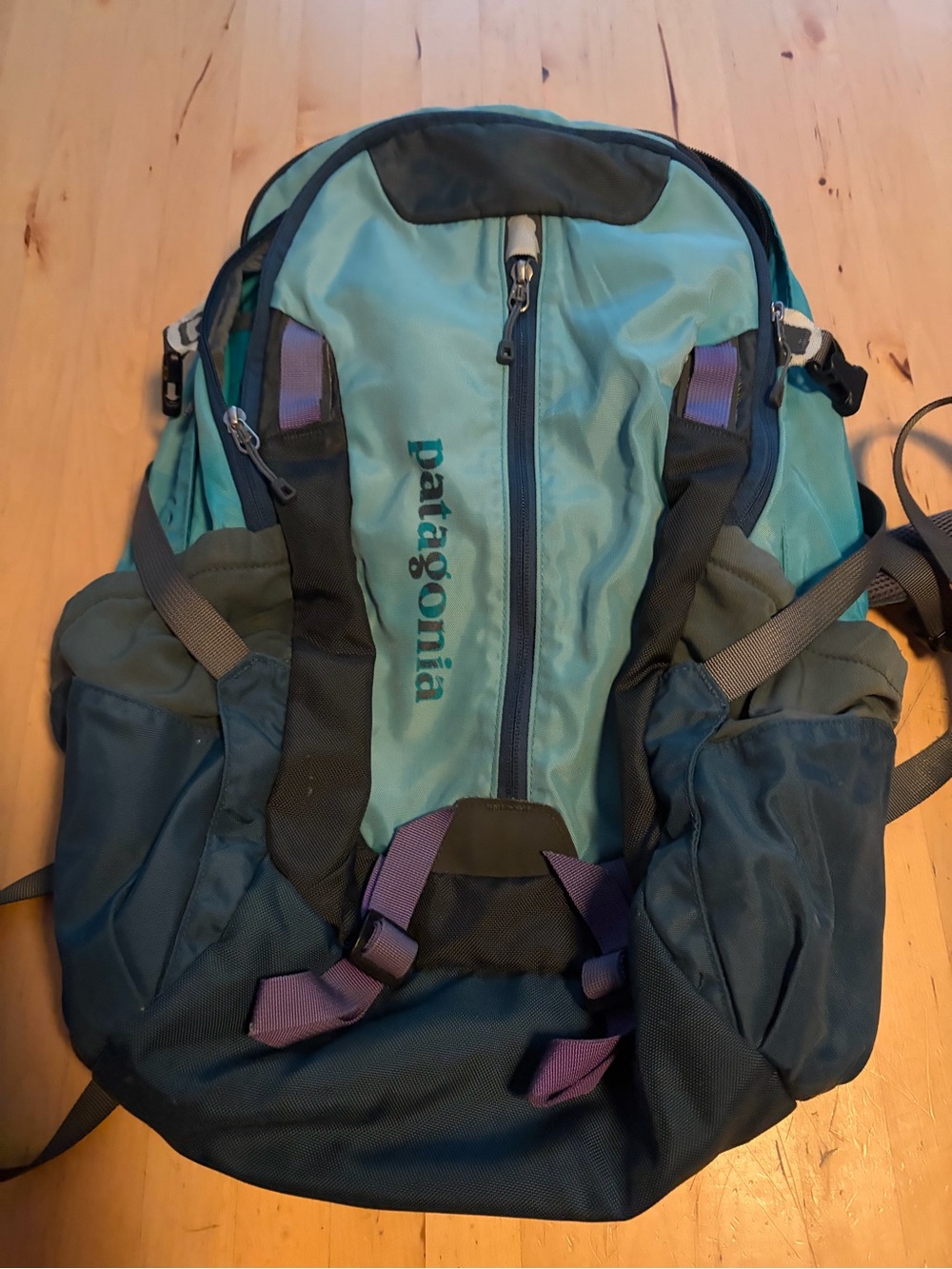 Patagonia Teal, Navy & Purple Women's Backpack